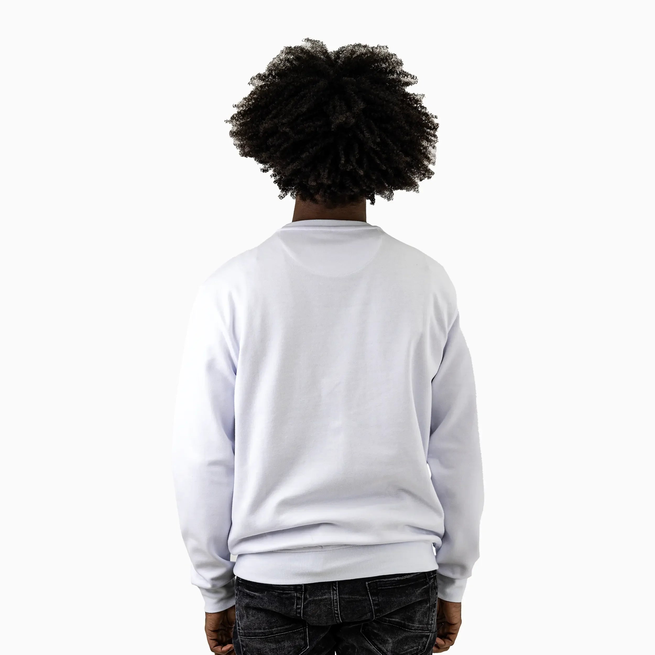 savar-mens-splash-crew-neck-sweatshirt-sc2409-011